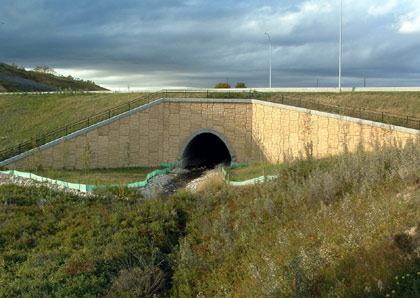 Tuscany Nosehill Arch